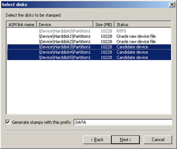 Database ASM Tool Disks