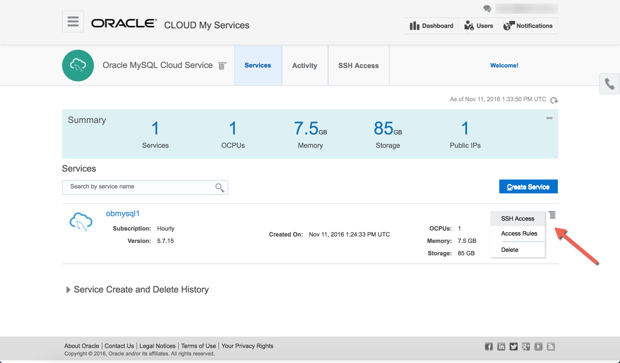 Oracle MySQL Cloud Service : Hamburger